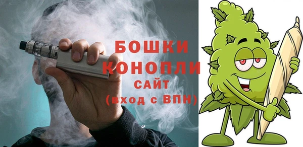 ПСИЛОЦИБИНОВЫЕ ГРИБЫ Нязепетровск