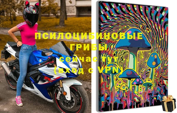 прущие крисы Новокубанск
