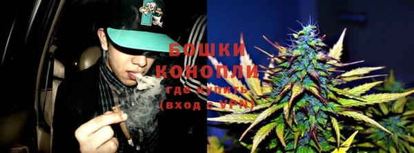 первитин Новодвинск